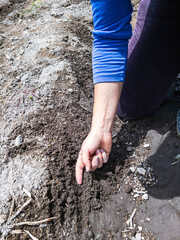 Women Tilling the land Nature in Growth, agriculture fertile ground