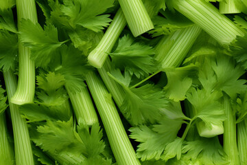 fresh celery background wall texture pattern seamless