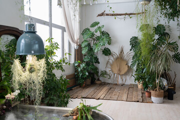 Cozy home garden in boho style. Scandinavian interior design of indoor garden with houseplants. Old house orangery with potted tropic flowers, monstera, ceramic pots in boho. Greenhouse concept