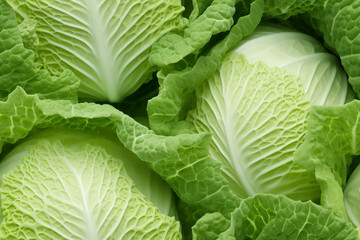 green cabbage background wall texture pattern seamless