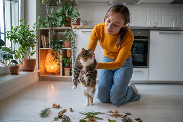 Tender caring pet owner showing to lazy uninterested cat natural objects, twigs brought from park,...