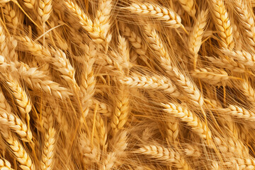 wheat vertical background wall texture pattern seamless