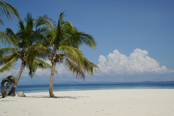 Beautiful white sand beach with palm trees on a sunny, hot, and clear day.