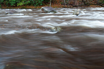 End of Autumn in Greenbrier in the Great Smoky Mountains National Park