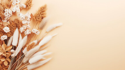 Pampas grass with dried botanicals arranged on a soothing beige background, perfect for decor.