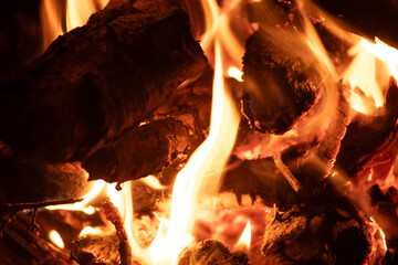 Fototapeta premium Campfire closeup