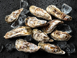 Half shell oysters on plate	