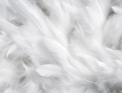 A background formed by the spread of white down feathers. bird feathers texture background. 