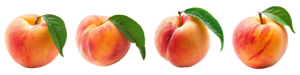 Peach isolated on a white background. png collection