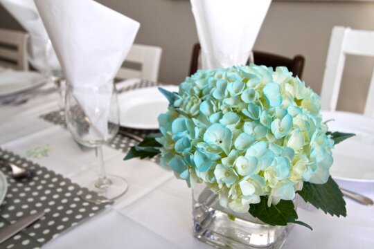 Place settings for a fancy event with hydrangea