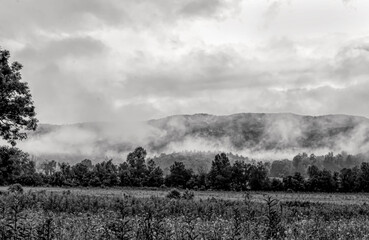The beauty of the Smoky Mountains is best realized early in the morning at Cades Cove. The fog and the clouds make the mountains appear even more dramatic.