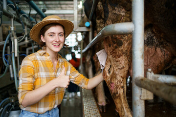 Female vet or veterinarian inspecting a livestock cows in farm.