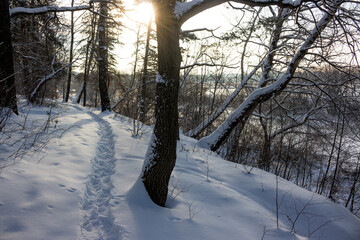 A path running along a snowy slope in a picturesque natural area in winter