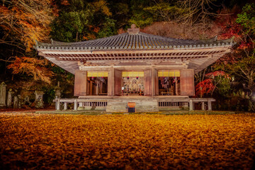 autumn leaves temple in japan