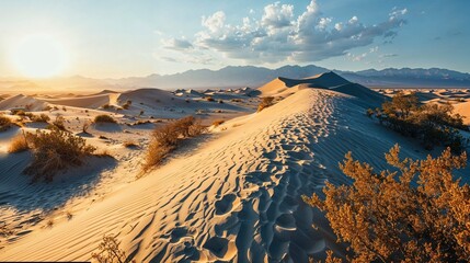 Serene desert dunes at sunset