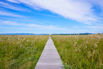 はまなすの丘公園（北海道石狩市）