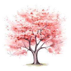 Fototapeta premium Sakura