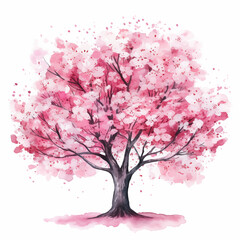 Fototapeta premium Sakura