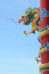 Fototapeta premium Dragon is a symbol of wealth, wealth and good fortune. It is a belief of the people of China, Taiwan and Thailand.