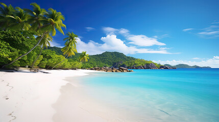 Beach surrounded by the sea and greenery under the sunlight and a blue sky in praslin in seychelles