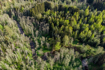 Aerial view of a picturesque forest area with a flowing river. Borinka River, tributary of the...