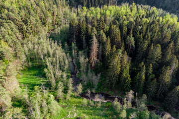 Aerial view of a picturesque forest area with a flowing river. Borinka River, tributary of the...