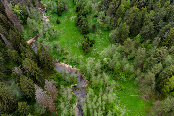 Fototapeta premium A small river flowing through a forested area with a parallel dirt road