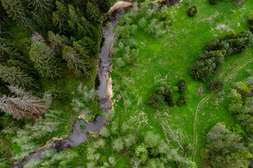 A small river flowing through a forested area with a parallel dirt road