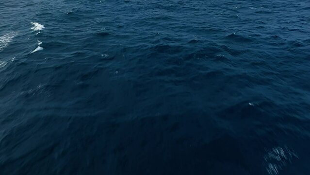 Bird's eye view of open ocean water soaring above shimmering depth of dark blue seas