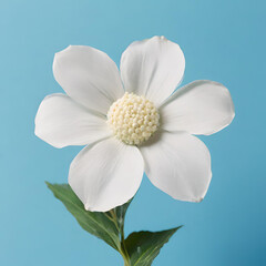 white flower