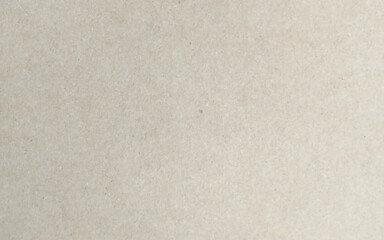 Fototapeta premium Vector seamless cardboard texture. Photo texture for your design