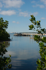 Fototapeta na wymiar Vertical view with green tree branches on both sides. on bayside at Jungle Prada de Narvaez Park looking west in St. Petersburg, Florida on a sunny day. Pier in the background. Blue sky and calm water
