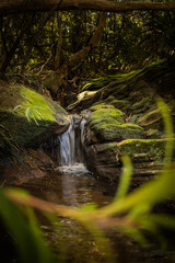 waterfall in the forest