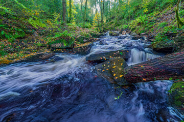 stream in the forest, Wyming Brook
