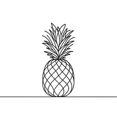Continuous contour of pineapple in one line