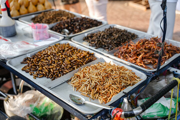 Fried insects (locust, worm, cricket, pupa, and giant waterbug) as street food on a vendor stall, Thailand.