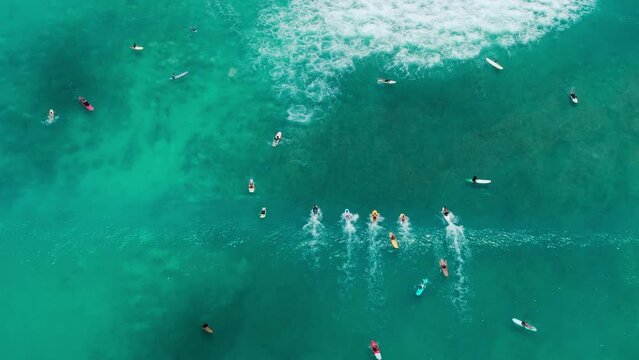 Scenic aerial of athletic people riding on surfing boards on Oahu, Hawaii 4K. Top down view of surfers trying to catch green waves. Cinematic shot of teal waves of transparent waters on Waikiki beach