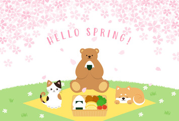 spring vector background with a bento box, cat, bear and dog having a Cherry blossom viewing party on a green field for banners, cards, flyers, social media wallpapers, etc.