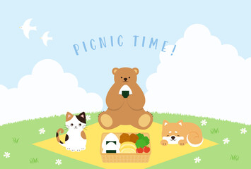 Obraz na płótnie Canvas spring vector background with a bento box, cat, bear and dog having a picnic on a green field for banners, cards, flyers, social media wallpapers, etc.