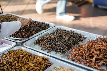Fried insects (locust, worm, cricket, pupa, and giant waterbug) as street food on a vendor stall, Thailand.