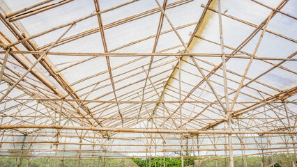 Small bamboo sticks are used by the people of Lam Dong Vietnam to build greenhouses to grow vegetables 