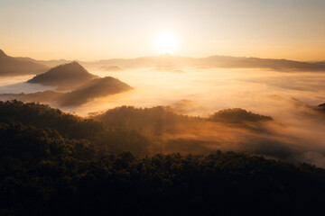 Aerial view of forest and mountain in fog with golden sunbeams at sunrise