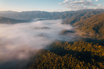 Aerial view of forest and mountain in fog with golden sunbeams at sunrise