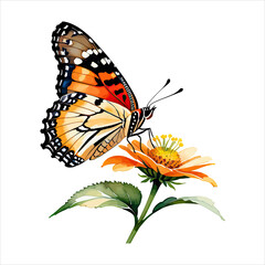 Obraz premium Watercolor Clipart Painted Lady Butterfly on Flower Illustration