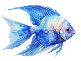 Angel fish. Watercolor in Blue Tone with Transparency background