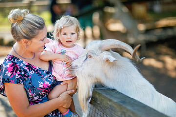 Adorable cute toddler girl and young mother feeding little goats and sheeps on kids farm. Beautiful baby child petting animals in petting zoo. Woman and daughter together on family weekend vacations