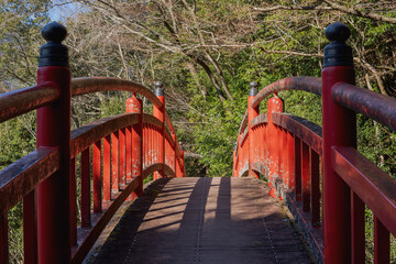 「椿橋」は「八橋（やっぱし）小道ラブ・ロマンス・ロード」にある八つの橋の一つ／日本静岡県川根本町 - obrazy, fototapety, plakaty