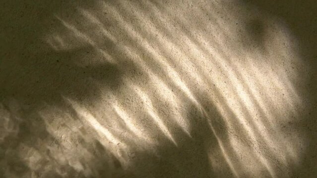 Close-up water surface ripples and splash, palm tree leaf shadow on sand texture