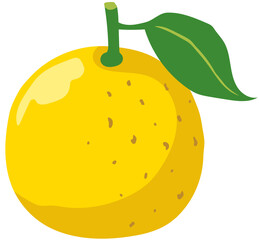 文旦　土佐文旦　高知県　観光　名産品　素材