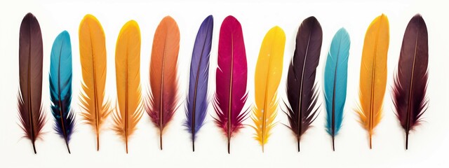 set of colorful feathers